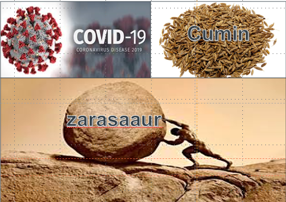 COVID-19 Lessons from Cumin Seed and Zaarasaaur